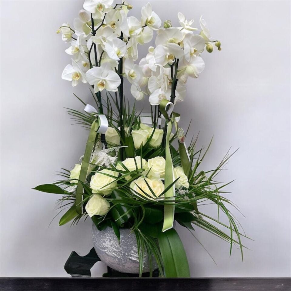 Orkide Aranjmanları