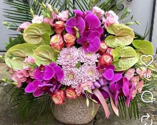 Pembe Yeşil Aranjman