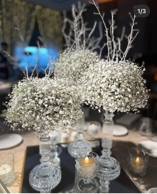 Cipso Masa Çiçekleri