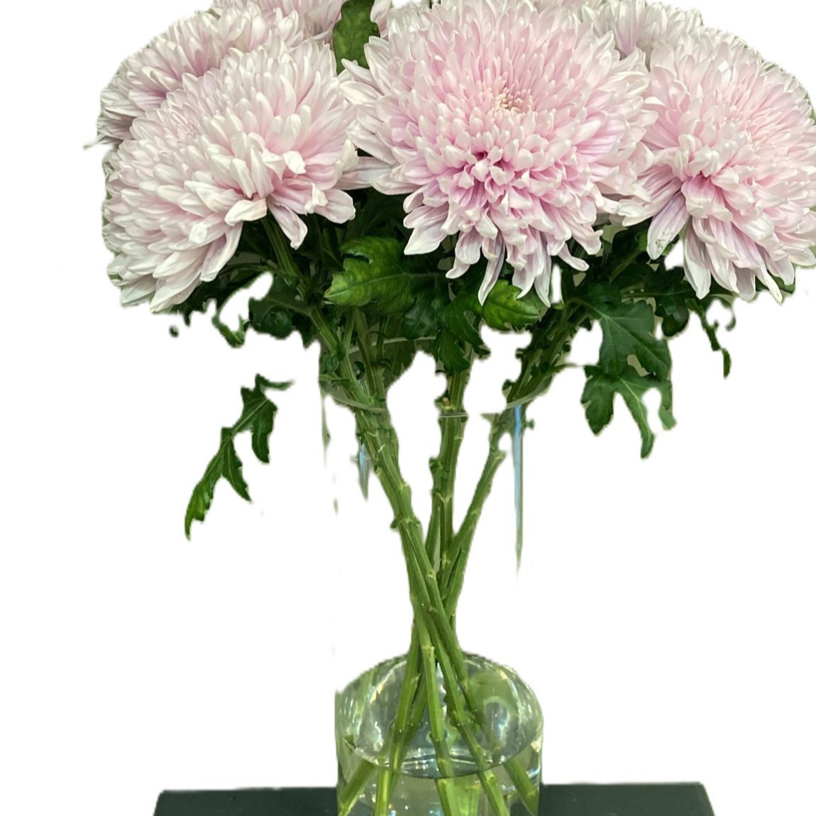 Pembe Anastasia 1.Adet