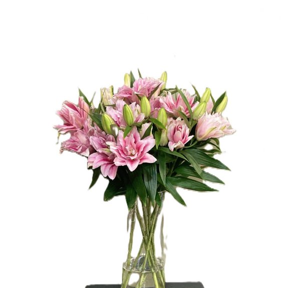 Pembe Lilyum -1.Aadet